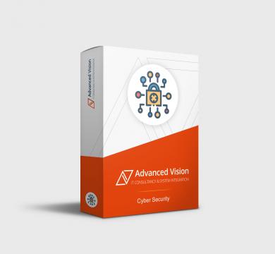 CISO AS A SERVICE - BUSINESS PLUS MEDIUM (MONTHLY)